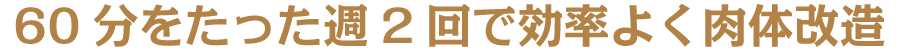 60分をたった週2回で効率よく肉体改造