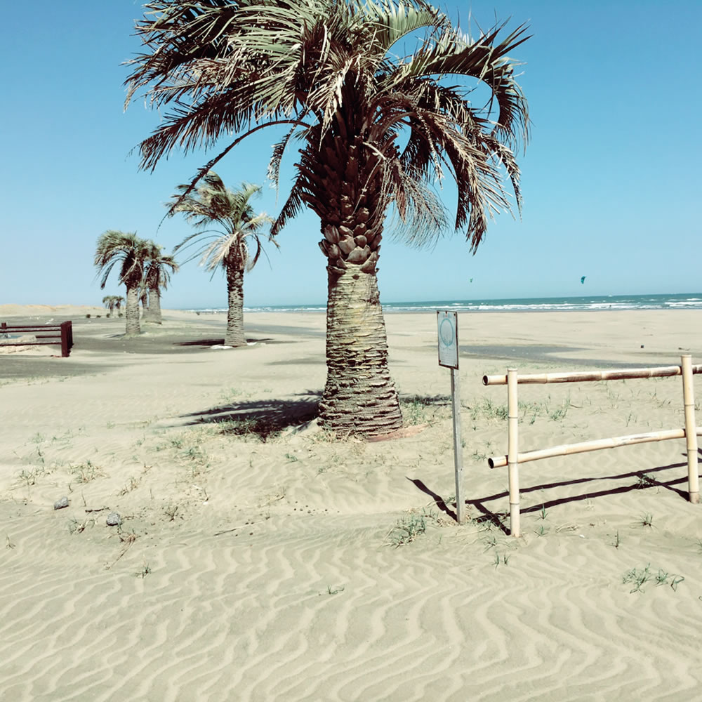 その1 九十九里エリアで一番本格的なジム！